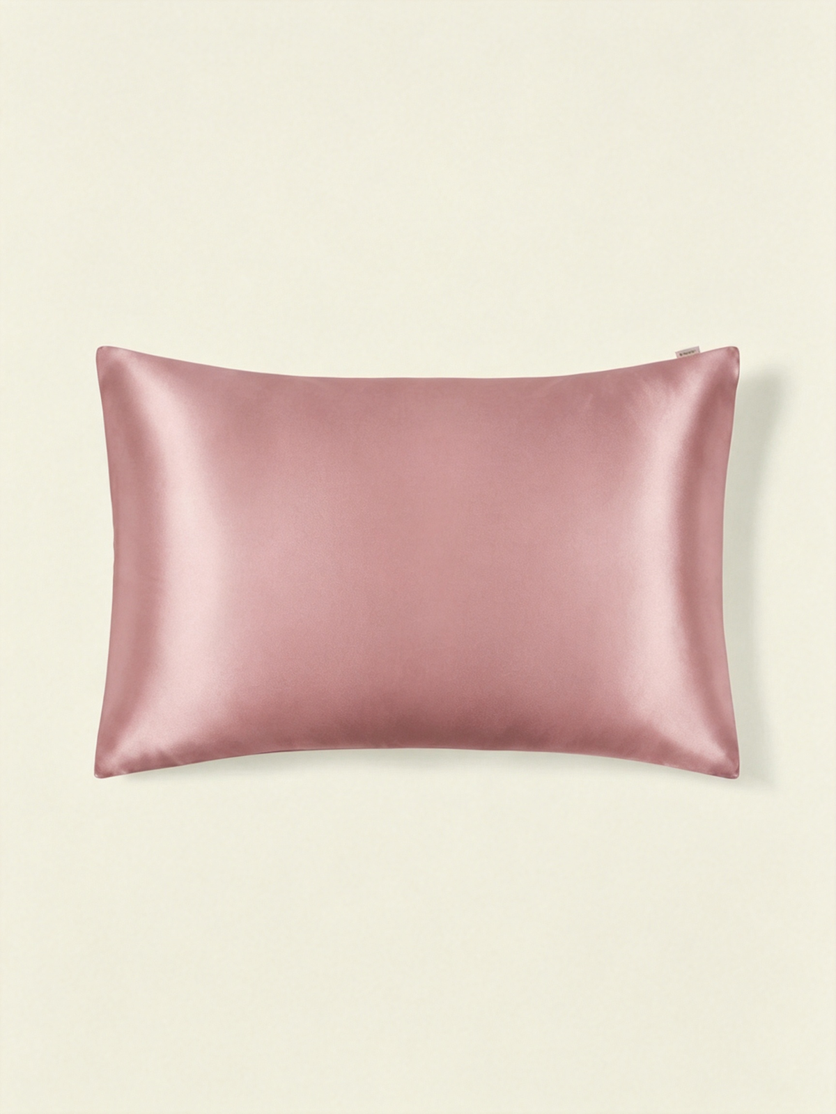 19Momme 100% Mulberry Silk Pillowcase#color_BlushPink