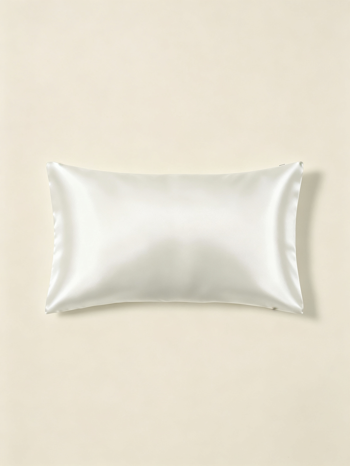 19Momme 100% Mulberry Silk Pillowcase#color_White