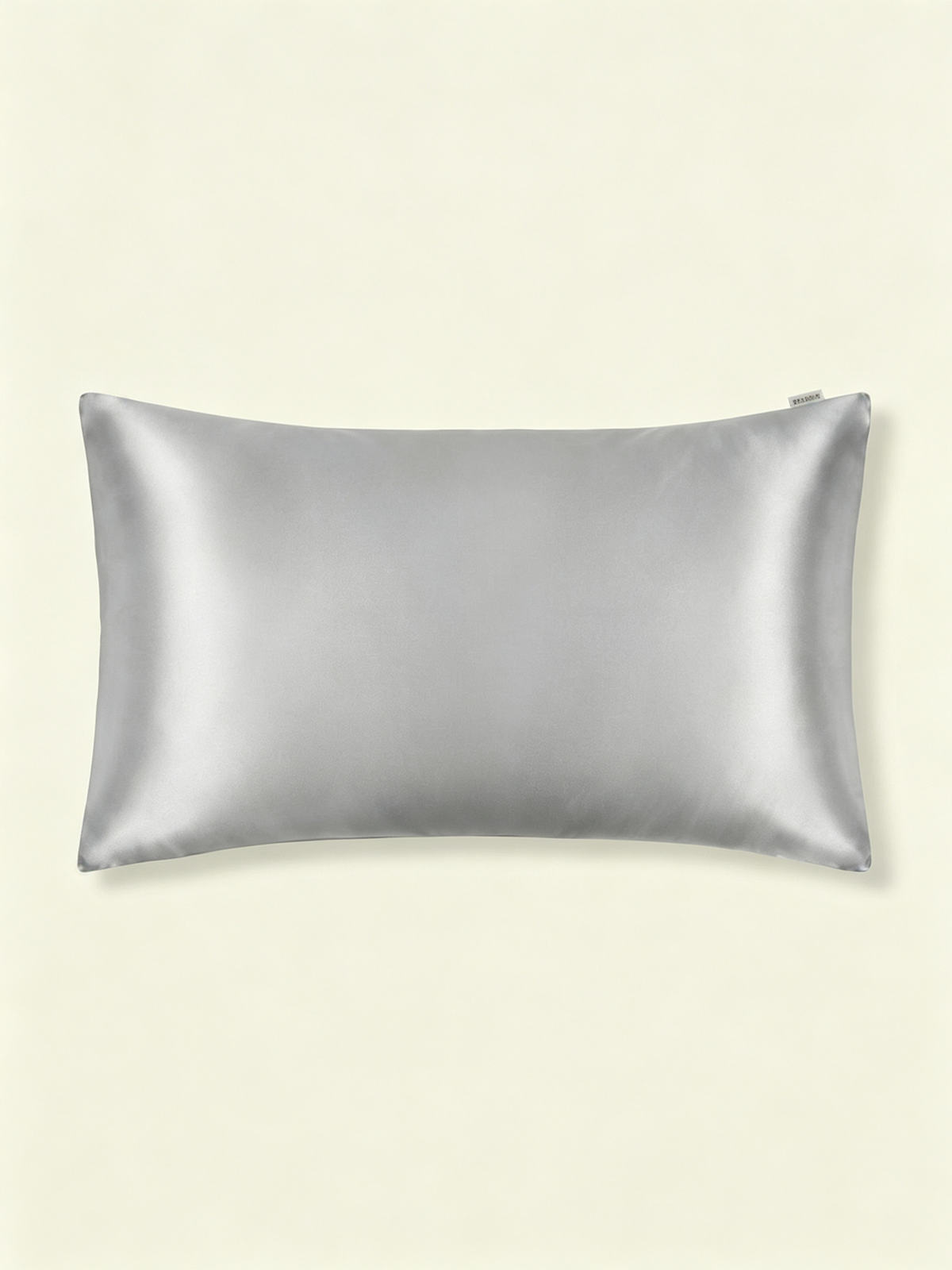19Momme 100% Mulberry Silk Pillowcase#color_gray