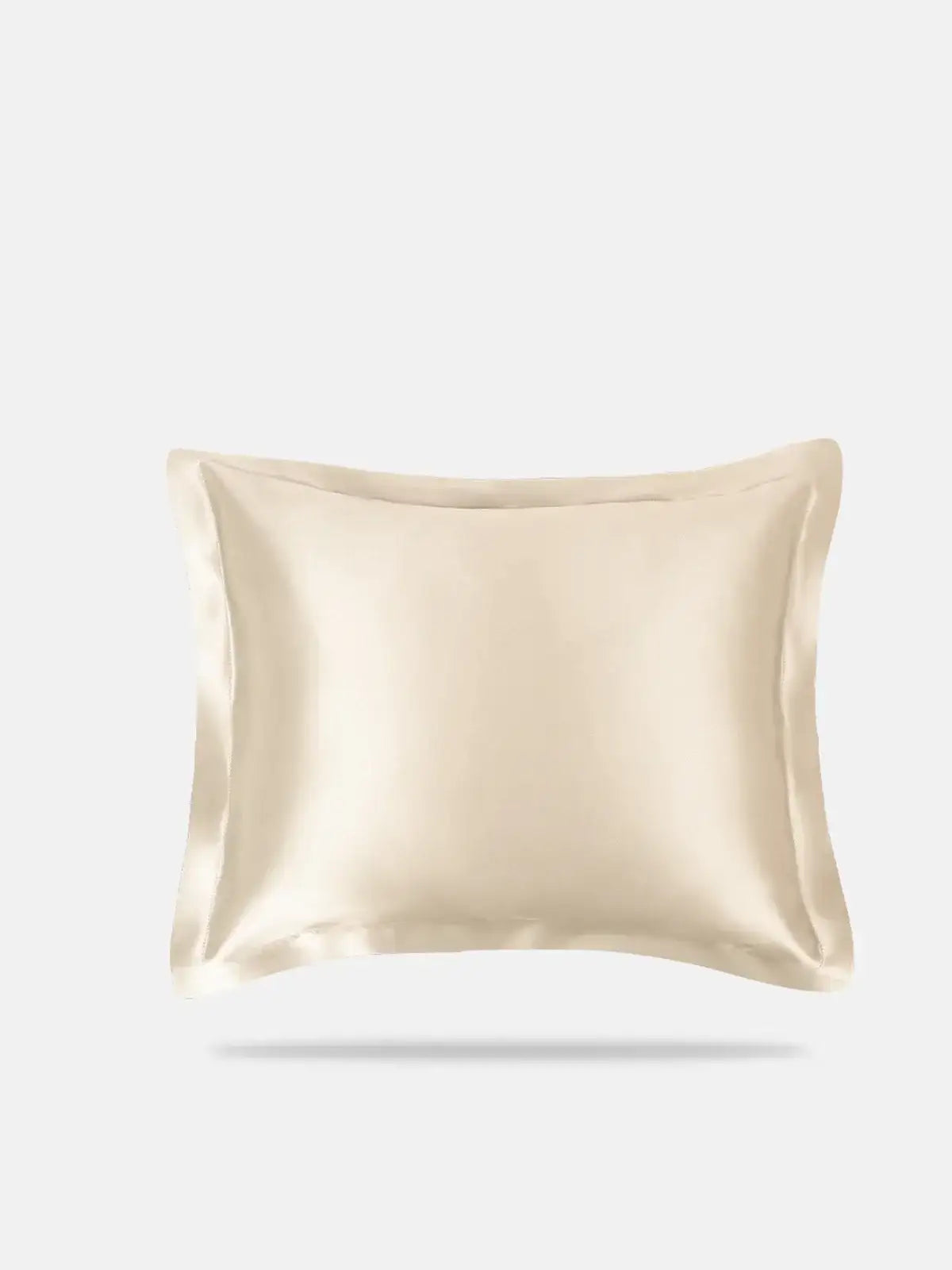 Simple Silk Pillow - JANCESILK