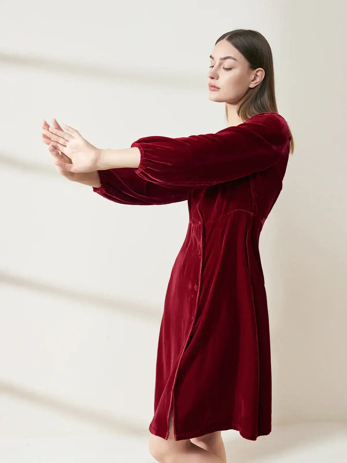 Silk Velvet Dress - JANCESILK